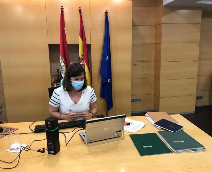 La consejera de Salud, Sara Alba, en el Consejo Interterritorial de Salud