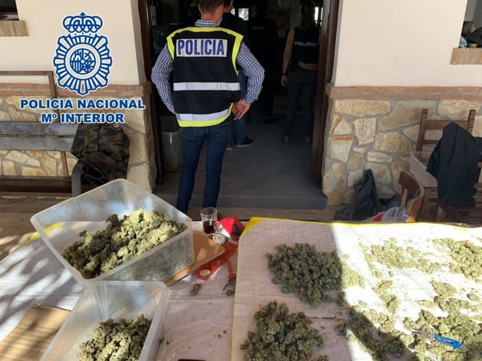 Finca rústica donde se procesaba marihuana a gran escala