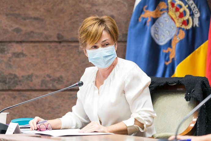 La rectora de la ULL, Rosa Aguilar, interviene en una comisión parlamentaria