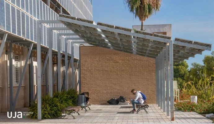 Estudiantes de la UJA en el Campus de Las Lagunillas