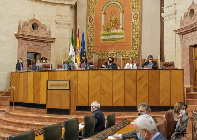 Sesión plenaria del Parlamento andaluz.