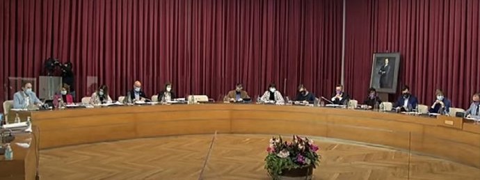 Pleno del Ayuntamiento de Logroño de noviembre de 2020