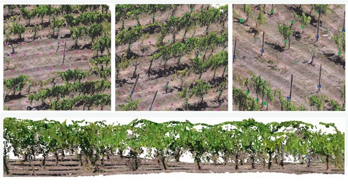 Trabajo sobre viñedo intensivo