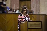 Aguilera: IU "le hace el trabajo a Iglesias" para terminar con Adelante, una organización que "no se pliega al PSOE"