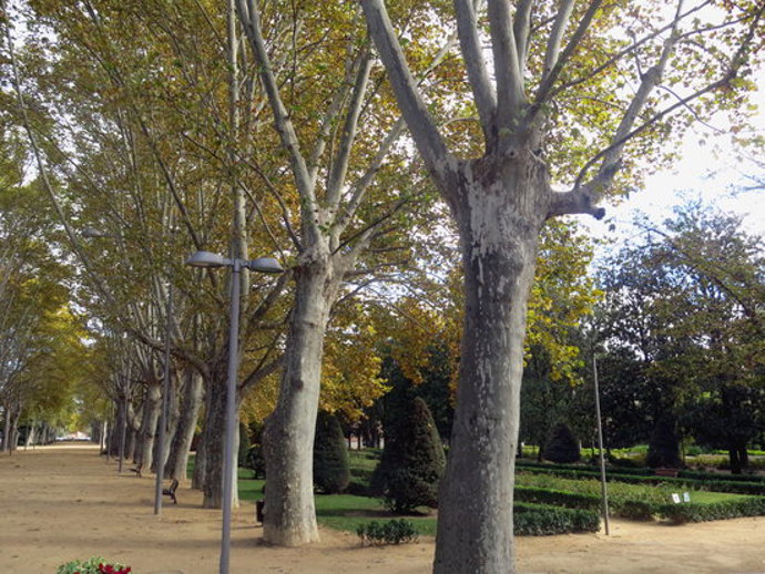 Pla obert del parc dels Camps Elisis de Lleida, en una imatge d'arxiu. (Horitzontal)