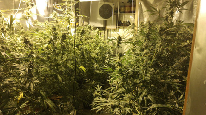 Pla general de l'habitació on es va trobar la marihuana a la finca de Palafrugell aquest dimecres 5 de novembre de 2020. (Horitzontal)