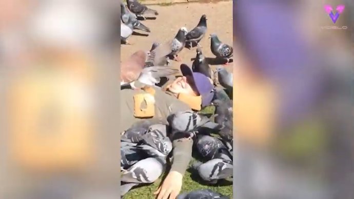 El vídeo de esta joven disfrazada de pan de molde para alimentar a las palomas de un parque se ha hecho viral
