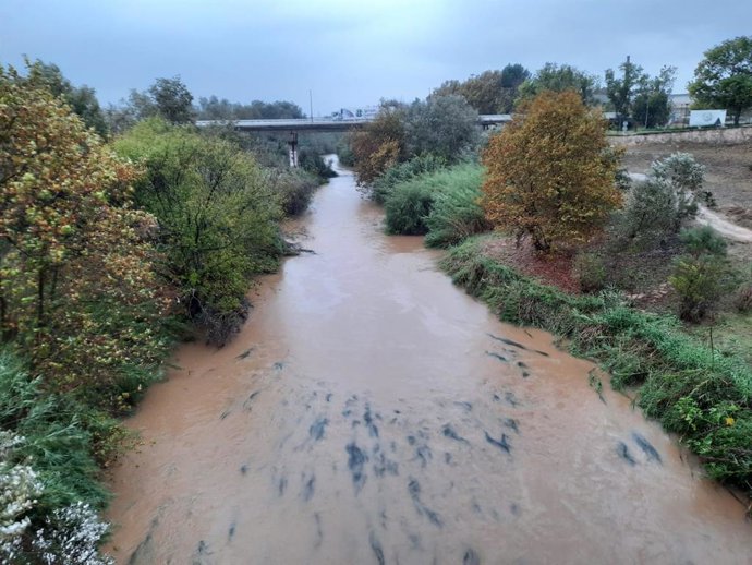 Efectos de las lluvias en Alzira