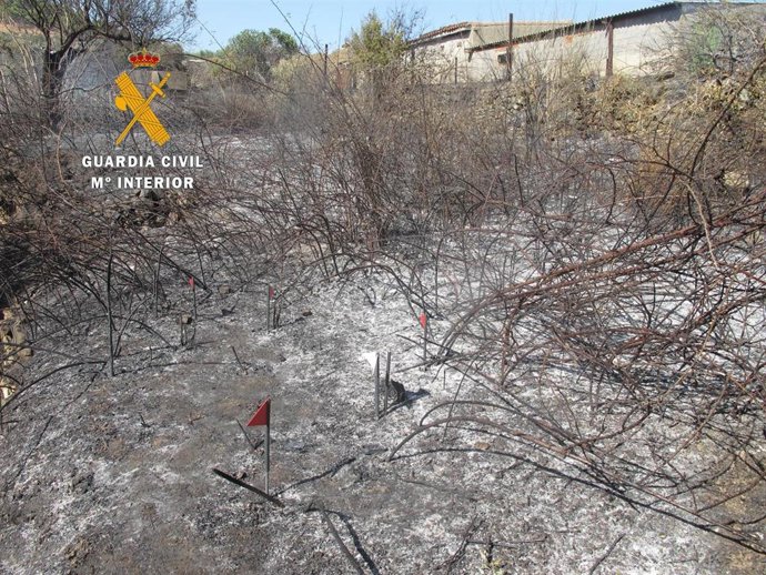 Superficie afectada por el incendio en Cañaveral