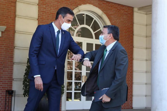 El presidente del Gobierno, Pedro Sánchez (i) y el portavoz del PNV en el Congreso, Aitor Esteban (d), se saludan antes de mantener una reunión en el Palacio de la Moncloa