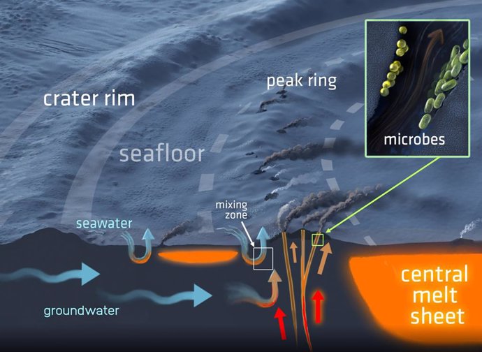 Una sección transversal tridimensional del sistema hidrotermal en el cráter de impacto de Chicxulub y sus respiraderos del fondo marino. El sistema tiene el potencial de albergar vida microbiana.