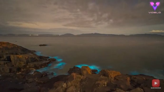 Espectaculares imágenes de la marea de una playa de Tasmania cambiando de rojo a azul fluorescente