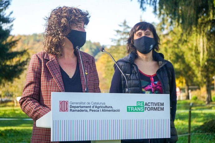 Jord presenta un plan de ayudas a pequeños desolladores para fomentar la ganadería local