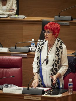 La consejera de Salud del Gobierno de Navarra, Santos Induráin, en el pleno del Parlamento.