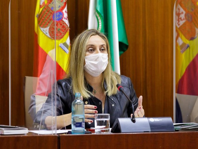 La consejera de Fomento, Infraestructuras y Ordenación del Territorio, Marifrán Carazo