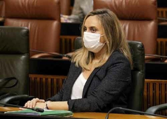 La consejera de Fomento, Marifrán Carazo, este jueves en el Pleno del Parlamento.