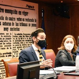 El secretario de Estado de Seguridad, Rafael Pérez, comparece ante la Comisión de Interior del Senado