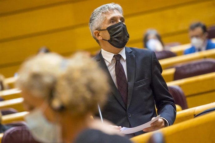El ministro del Interior, Fernando Grande-Marlaska, en un Pleno del Senado