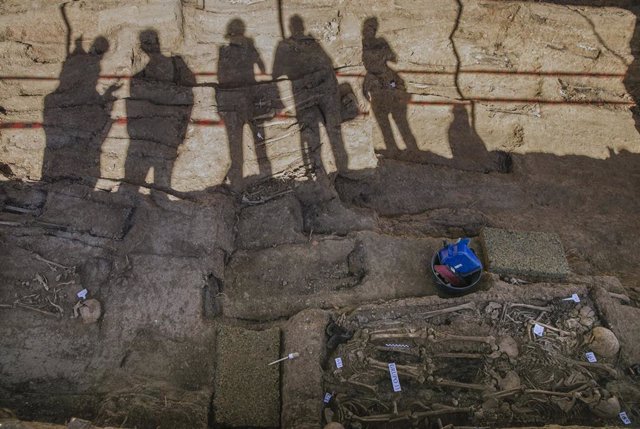 Trabajos de exhumación de la fosa común de Pico Reja, ubicada en el cementerio de San Fernando. En Sevilla (Andalucía, España), a 17 de junio de 2020.