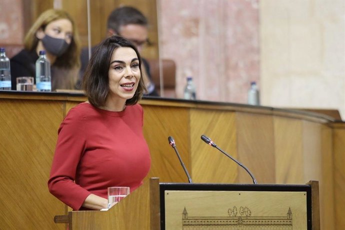 La parlamentaria andaluza de Ciudadanos Teresa Pardo interviene en el Pleno de la Cámara