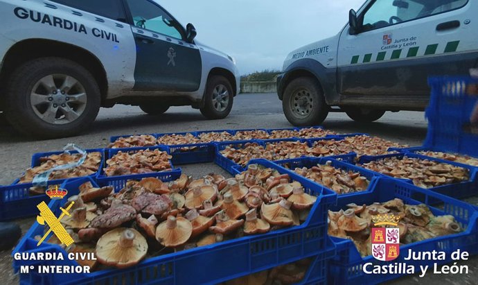 Notas De Prensa. Guardia Civil