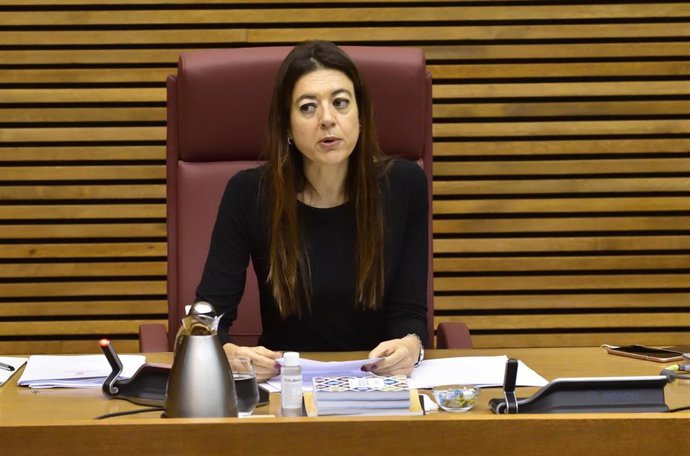 La consellera de Universidades comparece en Corts