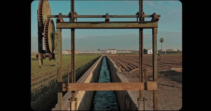 Documental 'Camagroga'