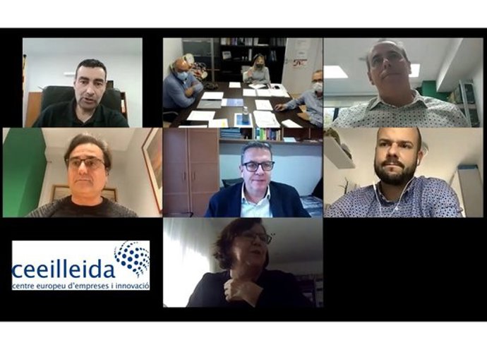Captura de pantalla de la reunió del consell directiu del CEEILleida, celebrada el 5 de novembre del 2020. (Horitzontal)