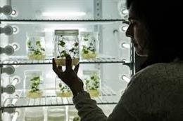 Uno de los laboratorios de Ramiro Arnedo SA