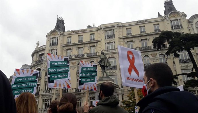 Concentración frente al Congreso de la Plataforma Más Plurales para protestar contra la 'ley Celaá'