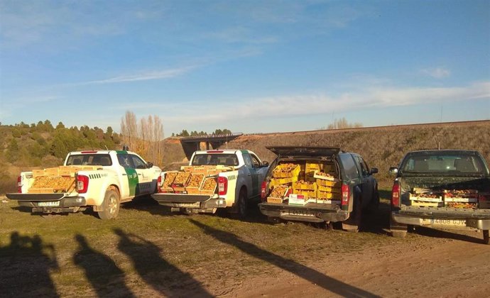 Decomiso de níscalos la semana pasada en la provincia de Soria.