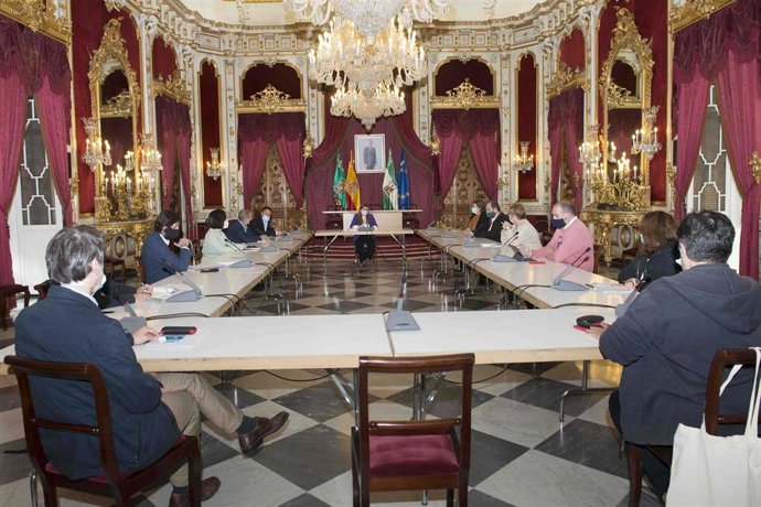 Reunión de dirección técnica de la Diputación de Cádiz el desarrollo de las medidas anti-Covid