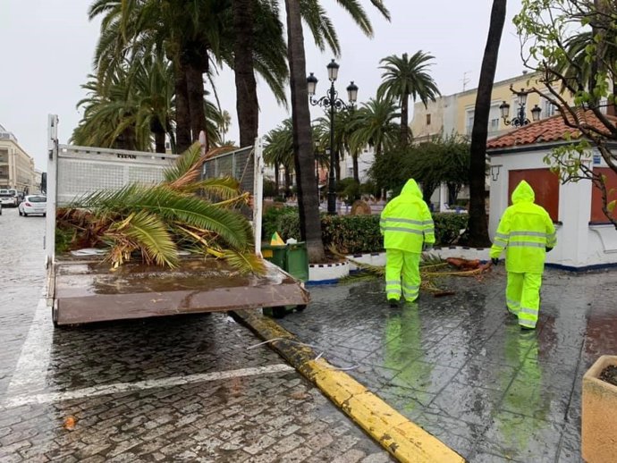 Técnicos municipales de Ayamonte trabajan para paliar los efectos del fuerte viento.
