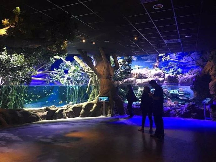 Zona de manglares en el Acuario de Sevilla.