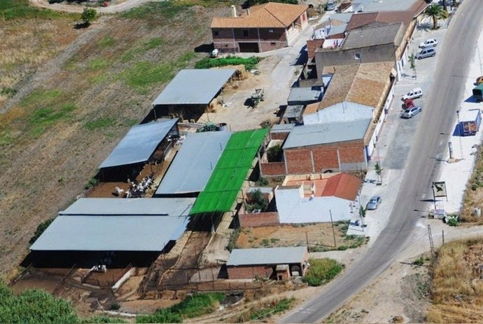 Vaquería de Fuente Palmera, en una imagen de archivo.