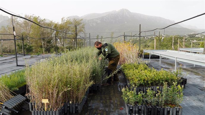 Inicio de la campaña de producción vegetal con la siembra de 150.000 plantas en la finca pública de Menut