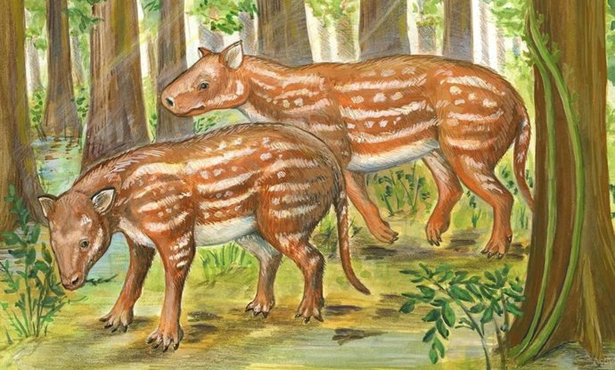  Cambaytherium