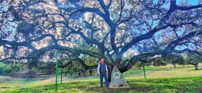 La Encina de la Dehesa San Francisco