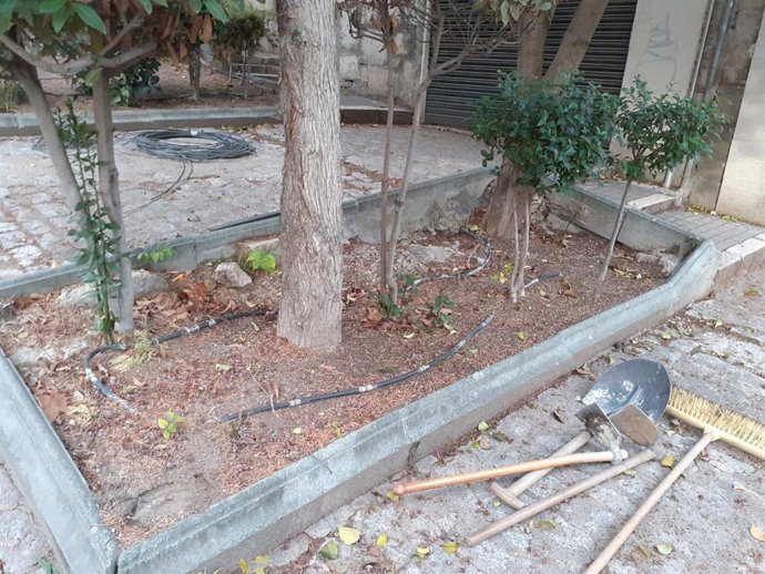 Parterre en mal estado en la calle Cruz Roja de Jaén