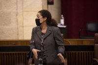 Nieto registra la documentación requerida por la Mesa del Parlamento sobre la expulsión de los diputados de Adelante