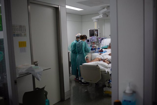 Personal sanitario visita a un enfermo ingresado en la Unidad de Cuidados Intensivos (UCI) del Hospital de la Santa Creu i Sant Pau (Archivo)