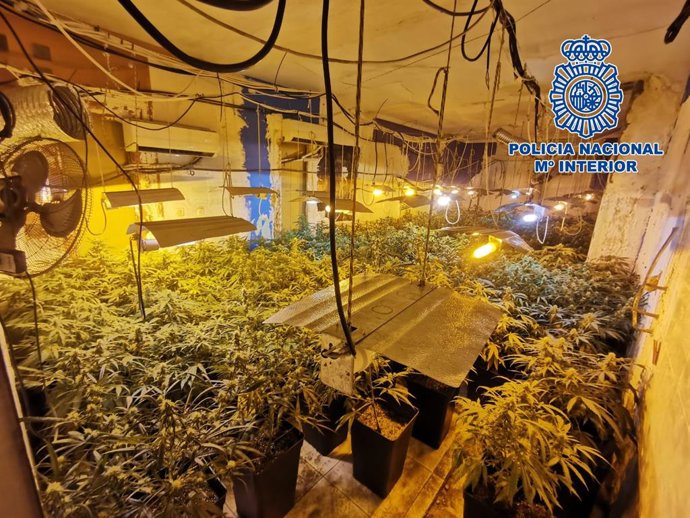 Nota De Prensa Y Fotografías: "La Policia Nacional Sorprende A Un Joven Saliendo De Una Vivienda Con Varias Macetas De Marihuana"