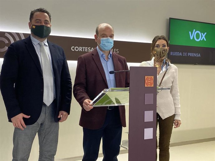 Los diputados de Vox en las Cortes de Aragón: Santiago Morón, David Arranz y Marta Fernández.