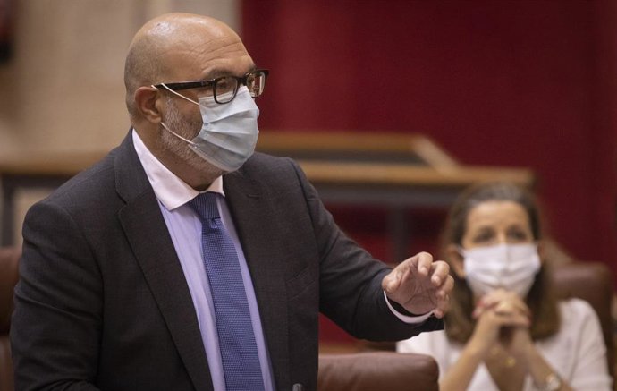 El portavoz del grupo parlamentario Vox, Alejandro Hernández 