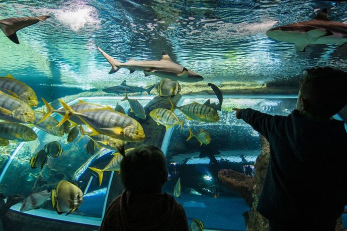 Acuario del Biodomo del Parque de las Ciencias de Granada