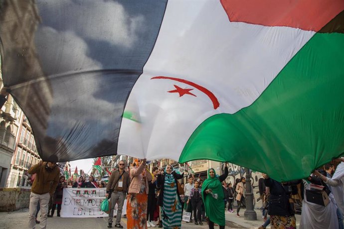 Marcha en favor de la autodeterminación del Sáhara Occidental