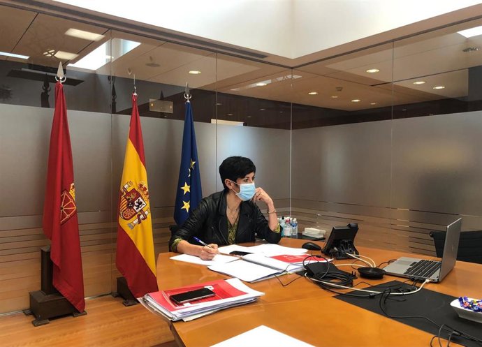 La consejera Saiz en un momento de la reunión del Consejo Económico y Social