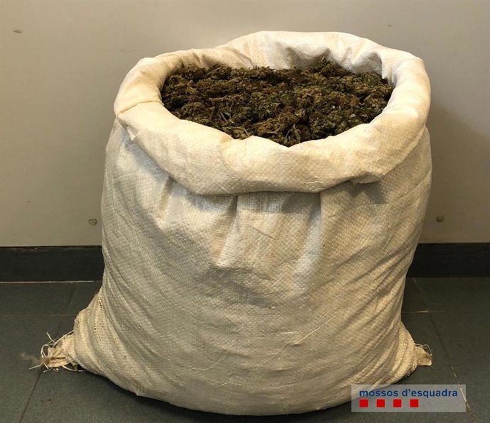El saco lleno de cogollos de marihuana incautado al detenido en Jafre (Girona).