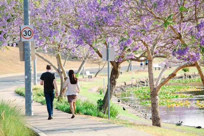 Jóvenes paseando por el parque