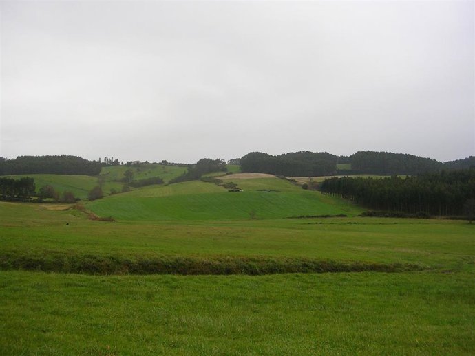 Espacio en el que está previsto instalar la subestación eléctrica en Cardo, Gozón.